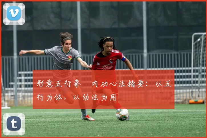 形意五行拳・内功心法精要：以五行为体，以劲法为用