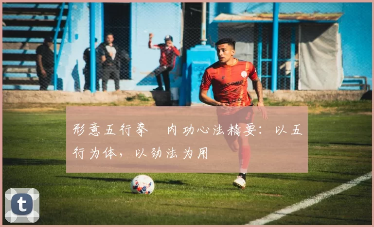 形意五行拳・内功心法精要:以五行为体,以劲法为用