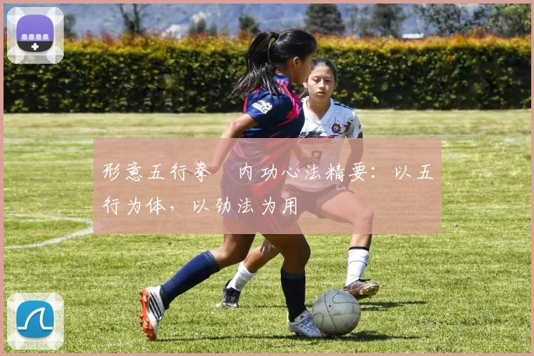 形意五行拳・内功心法精要：以五行为体，以劲法为用