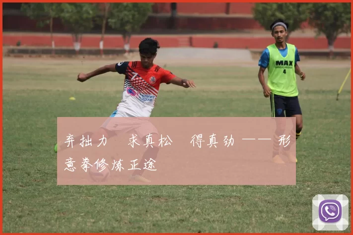 弃拙力・求真松・得真劲 —— 形意拳修炼正途