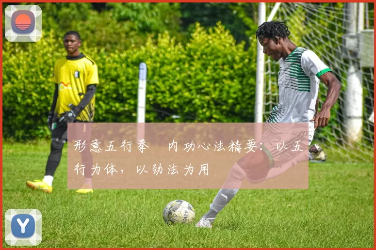 形意五行拳・内功心法精要:以五行为体,以劲法为用