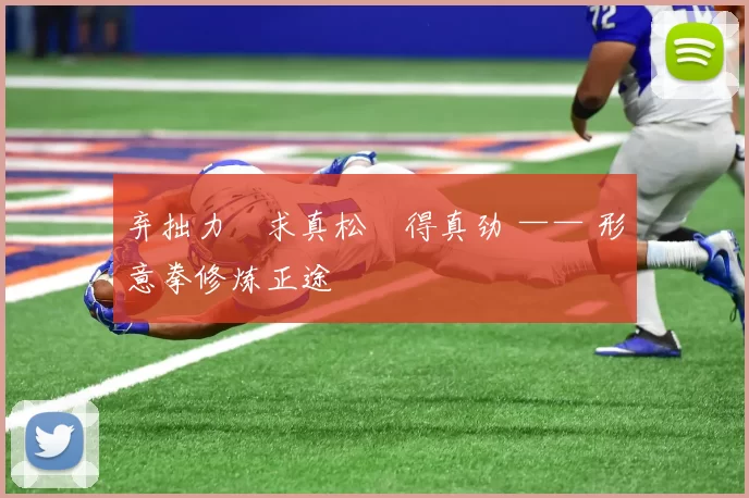 弃拙力・求真松・得真劲 —— 形意拳修炼正途