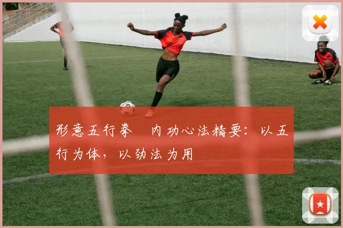 形意五行拳・内功心法精要：以五行为体，以劲法为用