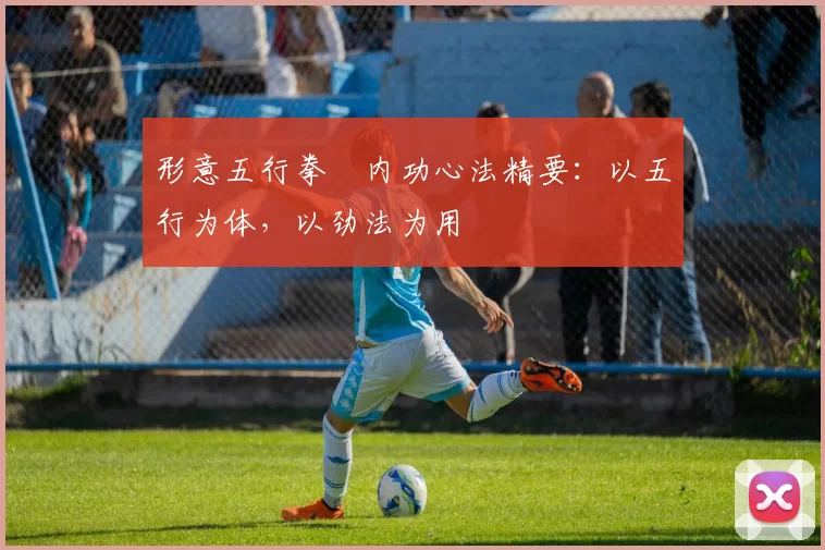 形意五行拳・内功心法精要：以五行为体，以劲法为用