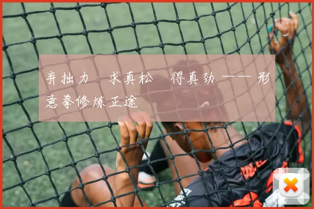 弃拙力・求真松・得真劲 —— 形意拳修炼正途