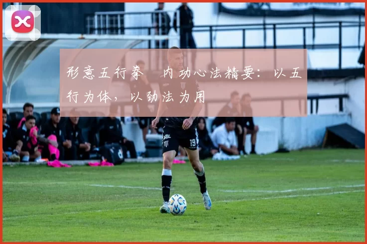 形意五行拳・内功心法精要:以五行为体,以劲法为用