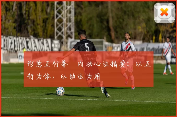 形意五行拳・内功心法精要：以五行为体，以劲法为用