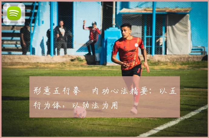 形意五行拳・内功心法精要:以五行为体,以劲法为用