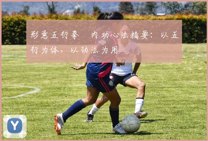 形意五行拳・内功心法精要：以五行为体，以劲法为用