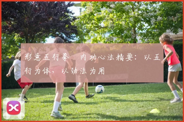 形意五行拳・内功心法精要：以五行为体，以劲法为用