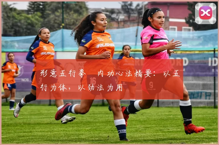 形意五行拳・内功心法精要:以五行为体,以劲法为用