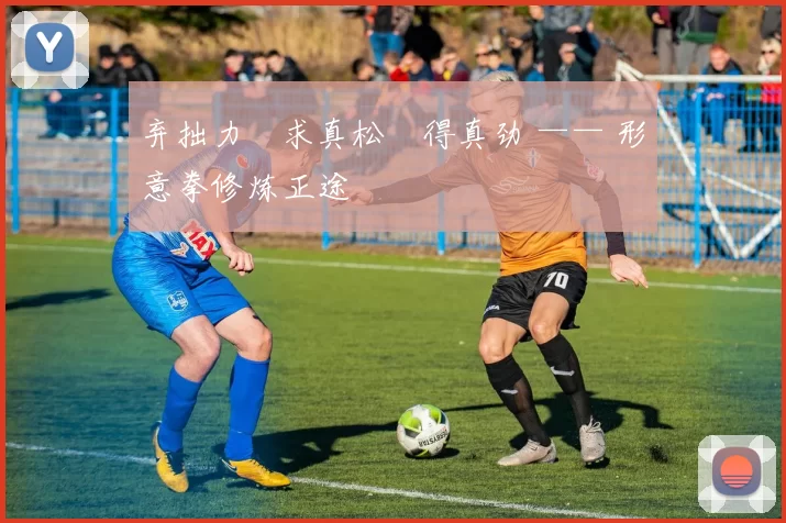 弃拙力・求真松・得真劲 —— 形意拳修炼正途