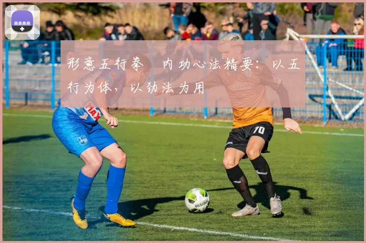 形意五行拳・内功心法精要：以五行为体，以劲法为用