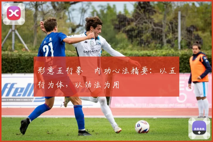 形意五行拳・内功心法精要:以五行为体,以劲法为用