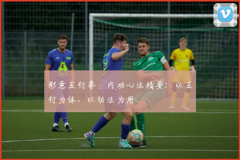 形意五行拳・内功心法精要：以五行为体，以劲法为用