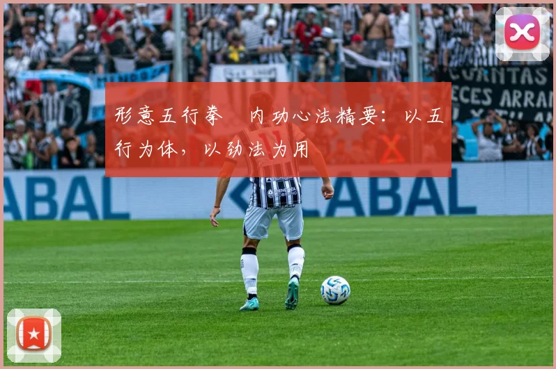 形意五行拳・内功心法精要:以五行为体,以劲法为用