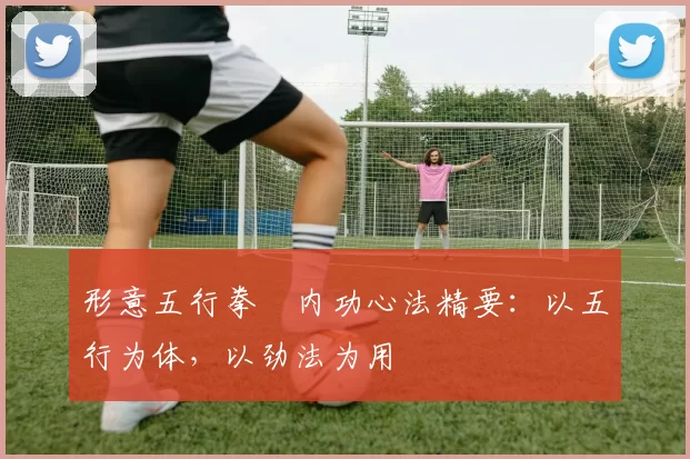 形意五行拳・内功心法精要：以五行为体，以劲法为用