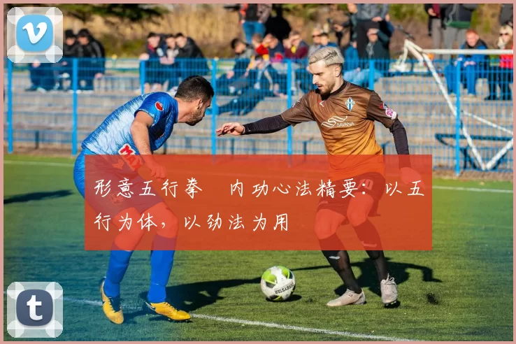 形意五行拳・内功心法精要:以五行为体,以劲法为用