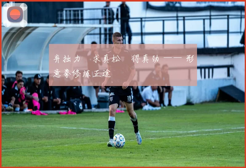弃拙力・求真松・得真劲 —— 形意拳修炼正途