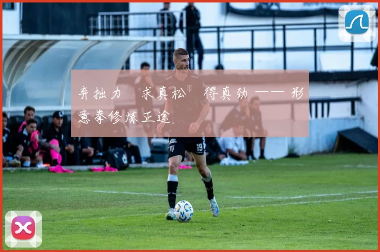 弃拙力・求真松・得真劲 —— 形意拳修炼正途