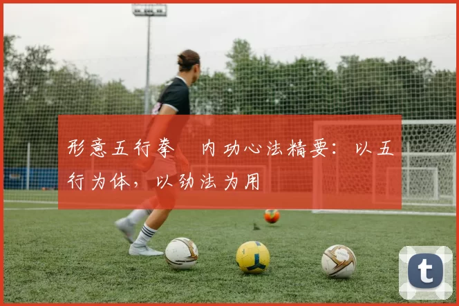 形意五行拳・内功心法精要：以五行为体，以劲法为用