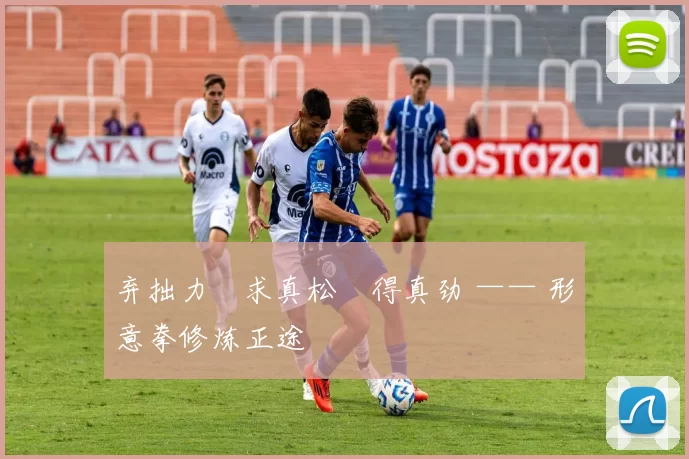 弃拙力・求真松・得真劲 —— 形意拳修炼正途