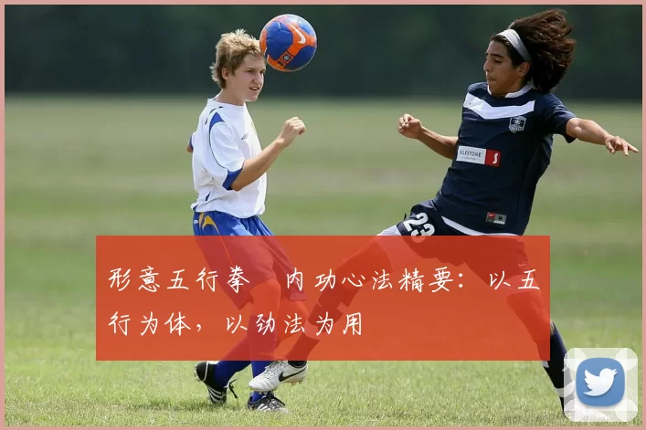 形意五行拳・内功心法精要：以五行为体，以劲法为用