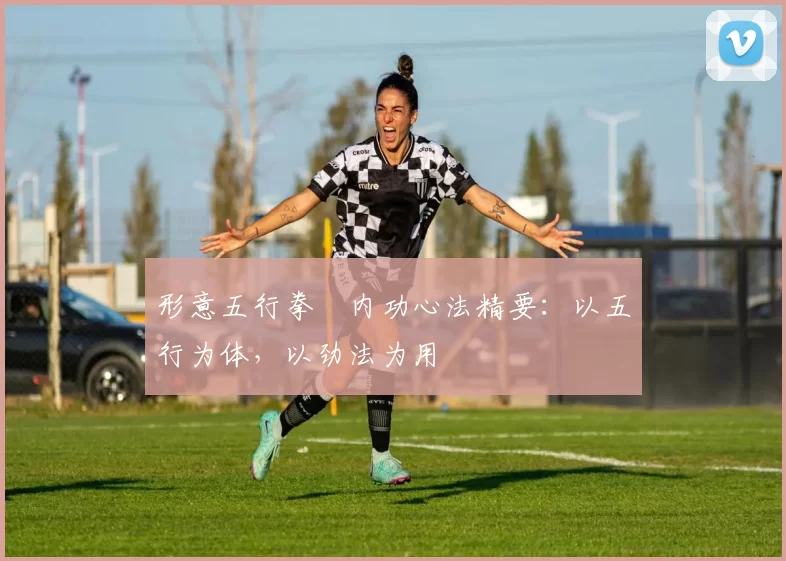 形意五行拳・内功心法精要：以五行为体，以劲法为用