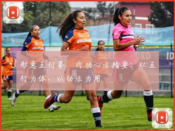 形意五行拳・内功心法精要：以五行为体，以劲法为用