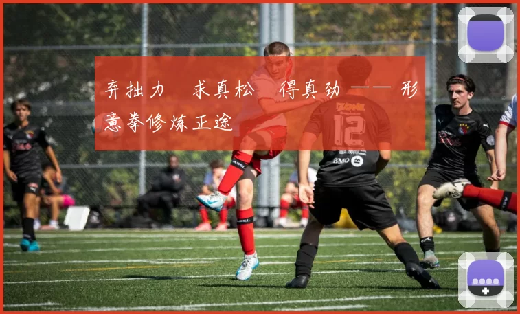 弃拙力・求真松・得真劲 —— 形意拳修炼正途