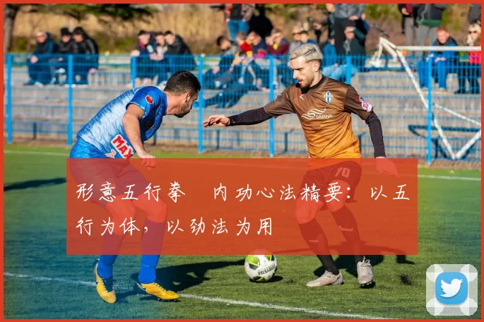 形意五行拳・内功心法精要：以五行为体，以劲法为用