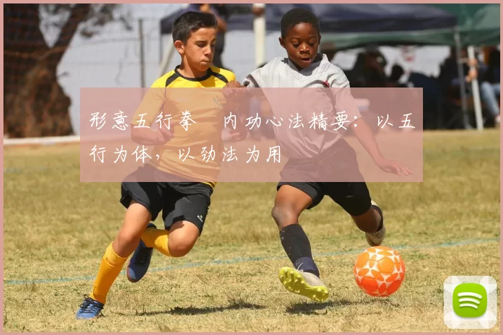 形意五行拳・内功心法精要:以五行为体,以劲法为用