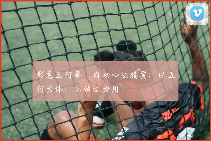 形意五行拳・内功心法精要:以五行为体,以劲法为用