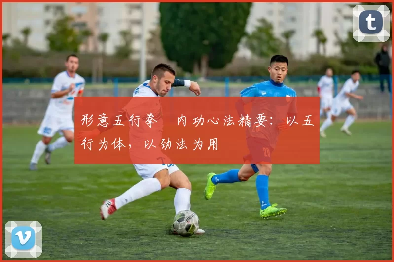 形意五行拳・内功心法精要：以五行为体，以劲法为用