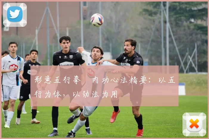 形意五行拳・内功心法精要:以五行为体,以劲法为用