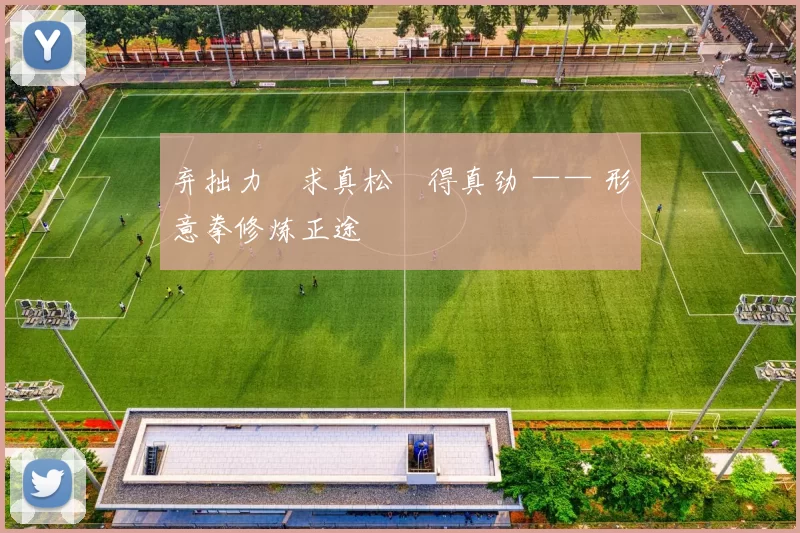 弃拙力・求真松・得真劲 —— 形意拳修炼正途