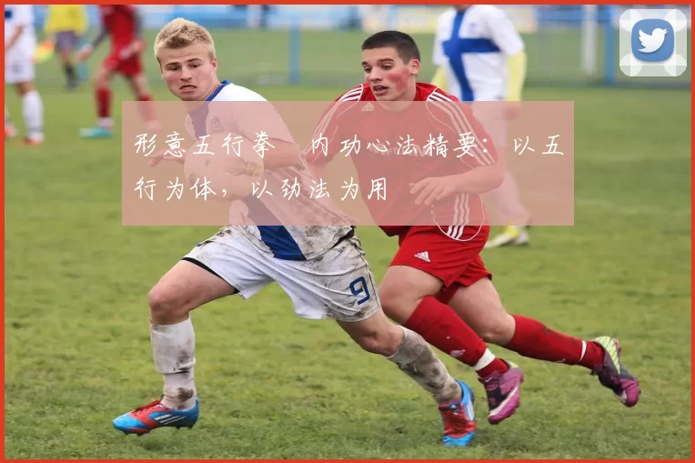 形意五行拳・内功心法精要：以五行为体，以劲法为用