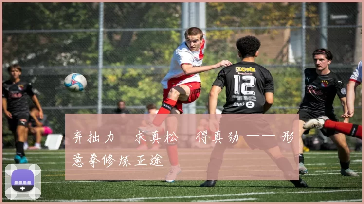 弃拙力・求真松・得真劲 —— 形意拳修炼正途
