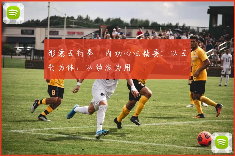 形意五行拳・内功心法精要：以五行为体，以劲法为用