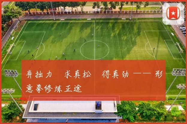 弃拙力・求真松・得真劲 —— 形意拳修炼正途