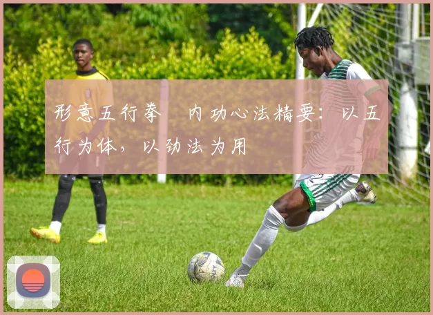 形意五行拳・内功心法精要:以五行为体,以劲法为用