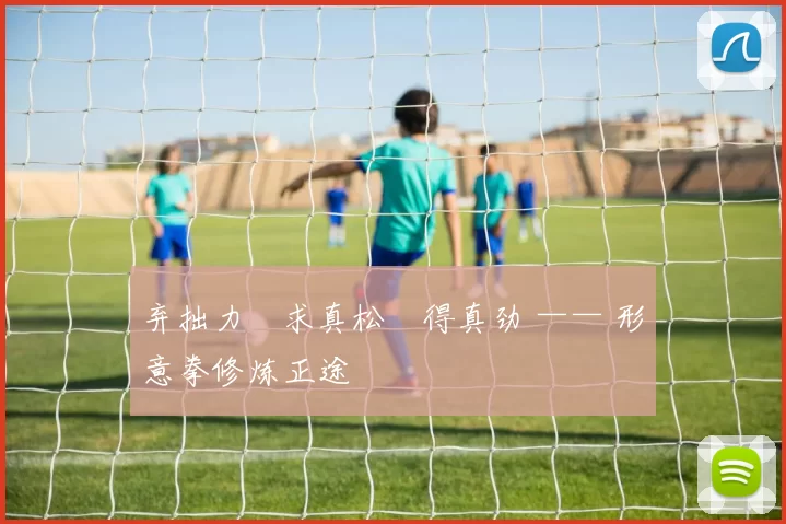 弃拙力・求真松・得真劲 —— 形意拳修炼正途
