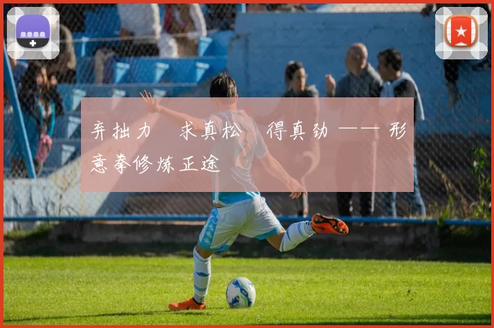 弃拙力・求真松・得真劲 —— 形意拳修炼正途