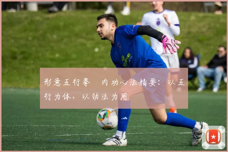 形意五行拳・内功心法精要：以五行为体，以劲法为用