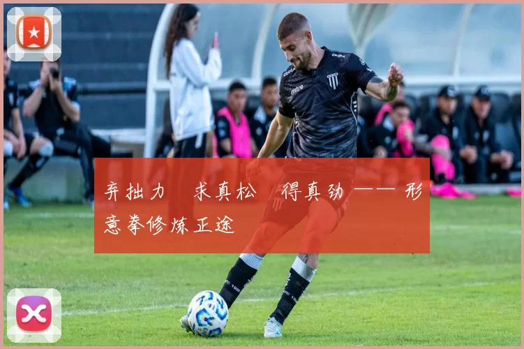 弃拙力・求真松・得真劲 —— 形意拳修炼正途