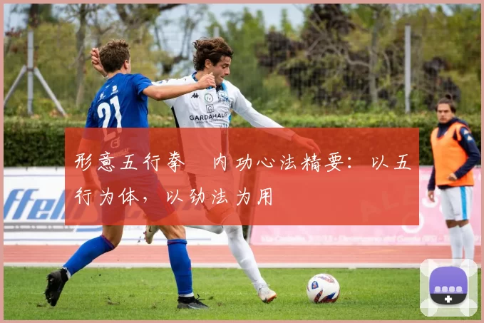 形意五行拳・内功心法精要：以五行为体，以劲法为用