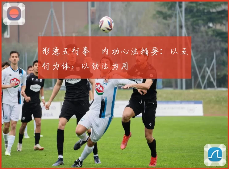 形意五行拳・内功心法精要：以五行为体，以劲法为用