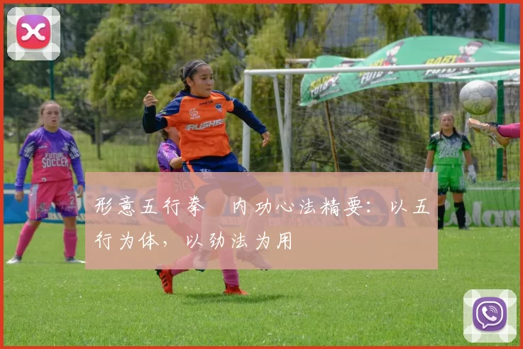 形意五行拳・内功心法精要：以五行为体，以劲法为用