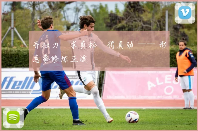 弃拙力・求真松・得真劲 —— 形意拳修炼正途