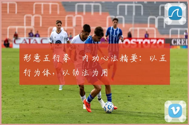 形意五行拳・内功心法精要：以五行为体，以劲法为用